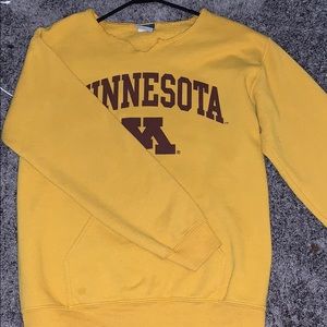 Minnesota Twin Cities Sweatshirt / Crewneck